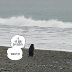나 어제 독서실에서 울었어
