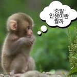 하.. ㅅㅂ 어떡해야되냐