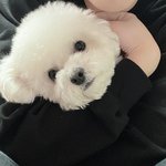 [NCT드림] 트윝에서 <b>대갈</b>이 적목제거 짤 주움 ㅋㅋㅋ