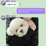 [NCT드림] <b>실화</b>냐
