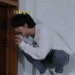 [스키즈] 아 진짜 웃곀ㅋㅋㅋㅋㅋㅋ