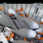 [NCT칠프] 얘들아 이거 우리 미래