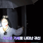 [스키즈] 김승미니2