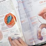 [19] 고2인데 내친구 애엄마됨
