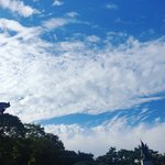 얘들아 솔직히 얼굴>>>>>몸매임...