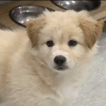난 내일 수능 등급이 34234가 <b>나올</b> 것이다