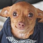 다들 파이팅이야~~~