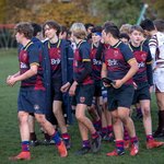 [풀햄보이즈] <b>럭비</b> 사진에 바비랑 루이스!!