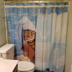 <b>밋밋</b>한 샤워 커튼은 거부한다!