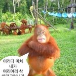 [드루와] 얘들아 살빠지는<b>속도</b>가