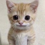 [드루와] <b>셀프</b>선물뭐할지ㅊㅊ좀