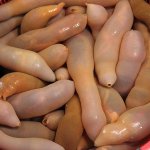 2022 <b>수능</b> 체감 한짤 <b>요약</b>