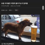 트와 레벨 <b>퇴물</b>임...?