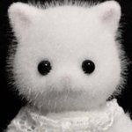 [드루와] 화작 40 7등급이냐고ㅜ