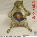 [드루와] <b>세계사</b> 본 판녀 옶냐ㅠㅠㅠㅠ