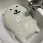 와 예보링 대단하다 ㅁㅊ