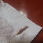 [이것좀봐줘] 유명음료에서 이상한 <b>물질</b>이 나왔어요