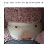 [NCT칠프] 아ㅋㅋㅋㅋㅋㅋ이거 개웃<b>겨</b>ㅠㅋㅋㅋㅋㅋㅋ