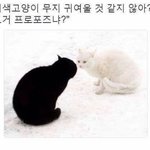 나 이관데 수능 사탐 칠까