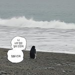 [댓글부탁해] 우리가족 mbti만 보면 어떨거같음