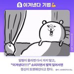 04 강민철/김동욱 <b>커리</b> 추반 좀