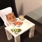 [방탄소년단] 밥 먹는 <b>석진이</b>