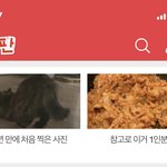 [고양이] 우리집 고양이 보고가 !!