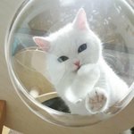 나 진짜 <b>역변</b>한 듯