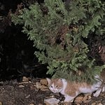 [댓글부탁해] <b>내일</b>이 <b>대학</b> 면접 날인데 쪼 됐다...