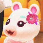 우리 섬 뽀<b>야미</b> 귀엽지ㅠ