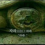 밤에 열받아서