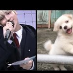 [TXT] 트위터 하면 원래 짤이 많아?