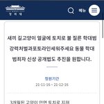 [청원] 새끼 길고양이 얼굴을 <b>토치</b>로 불지른 학대범