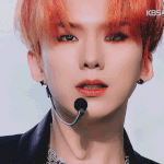 미친거아니야?