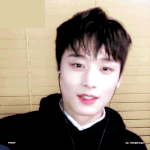 주연 제2의<b>샤샤</b>샤