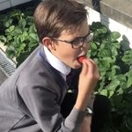 [풀햄보이즈] 딸기먹방 아르망!