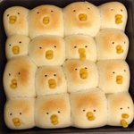 나 자퇴생인데 수능 <b>개조</b>짐