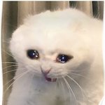 아니 어떡하냐 나 <b>항문</b> 초음파 해야된대