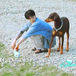 전정국이랑 전밤 개웃김