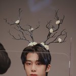 채<b>형원</b> 주술회전 하나미 같지 않음?