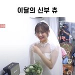 이달의신부 <b>츄</b>