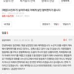 결시친에서도 <b>허언</b>하고다니는