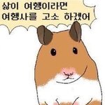 [드루와] 03들아 니네 딱 3년 전으로 돌아가면 뭐할래