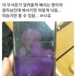 이 사진 병아리<b>왕자</b> 누구임