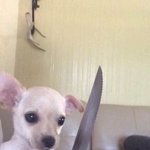 [19] 나 알바할때 <b>크롭</b>티입고해도되냐고 했던글쓴이인데