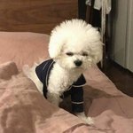 헐 나도 엠비티아이 맞춰봐