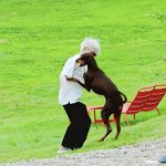 [방탄소년단] 그렇게 신나서 <b>세상</b>을 살아갈 수 있겠어?