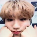 [스키즈] 저화질이라서 더 <b>귀여어</b>