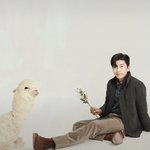 임영웅이랑 같이 있는 동물 <b>인형</b>인줄 알았는데
