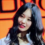 <b>노제</b> 진짜 확신의 고양이상